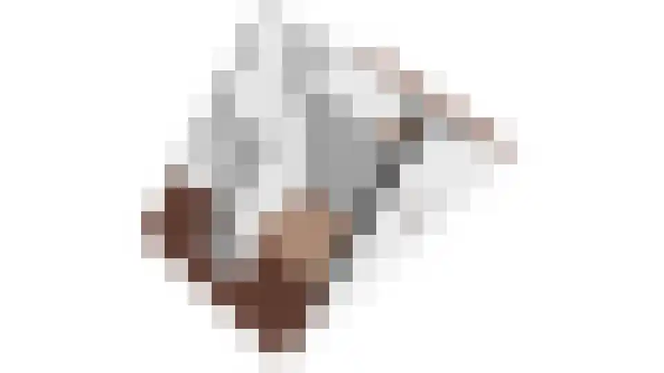 Blauwband 52 Waddinxveen thumbnail 56