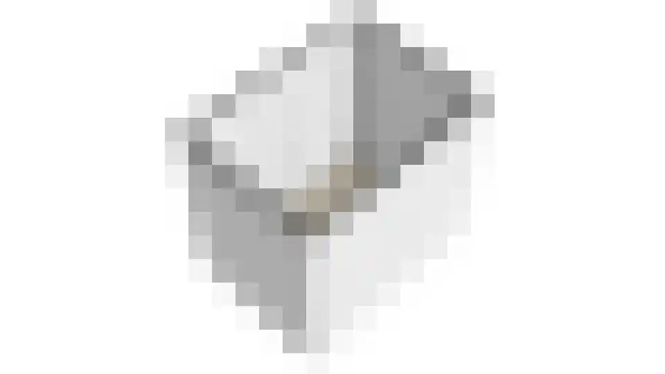 Blauwband 52 Waddinxveen thumbnail 58