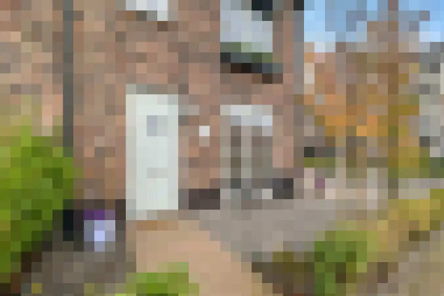 Blauwband 52 Waddinxveen thumbnail 6