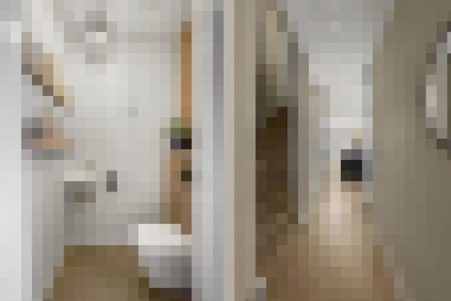 Blauwband 52 Waddinxveen thumbnail 7