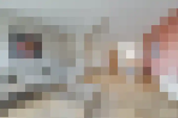Blauwband 68 Waddinxveen thumbnail 10