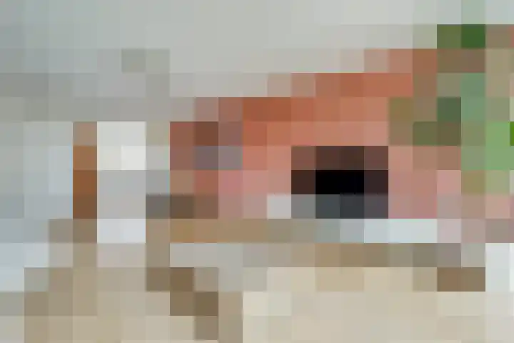 Blauwband 68 Waddinxveen thumbnail 11