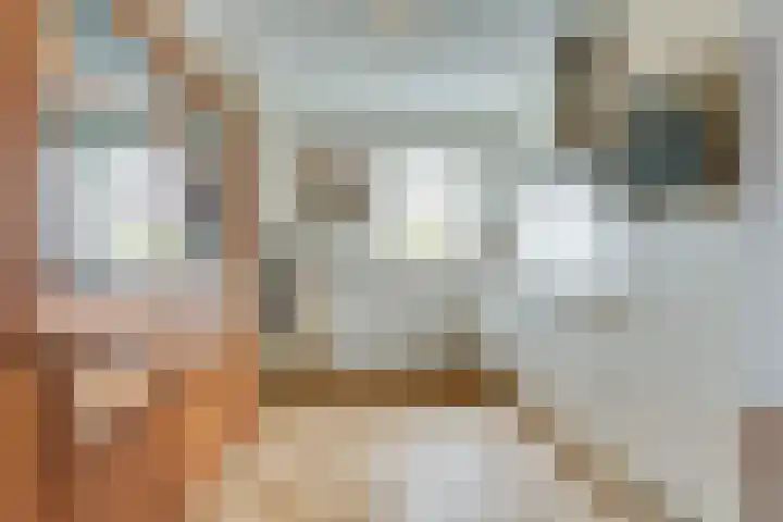 Blauwband 68 Waddinxveen thumbnail 14