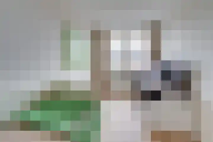 Blauwband 68 Waddinxveen thumbnail 22