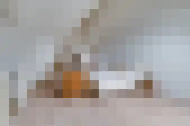 Blauwband 68 Waddinxveen thumbnail 28