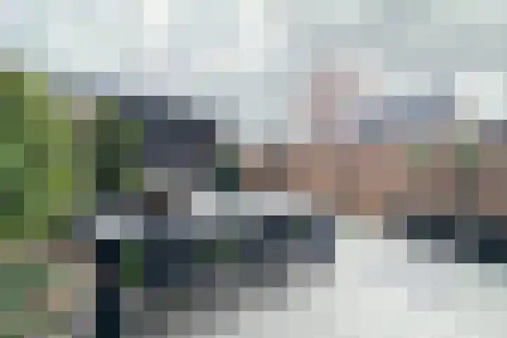 Blauwband 68 Waddinxveen thumbnail 36