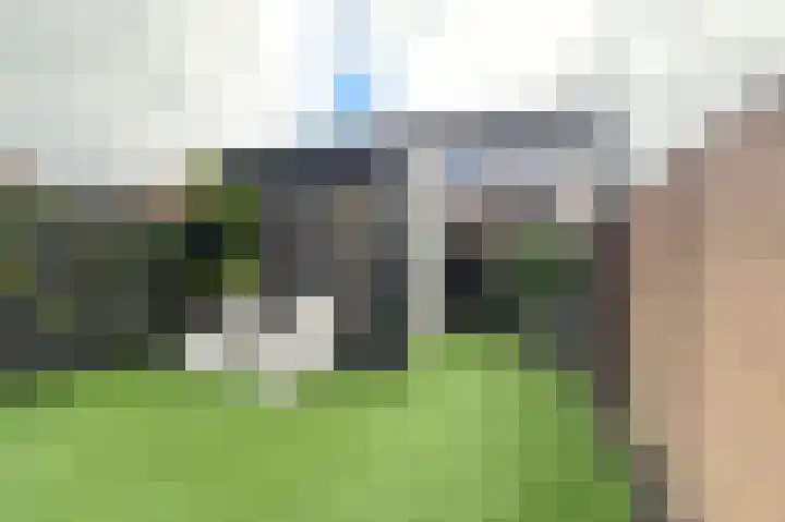 Blauwband 68 Waddinxveen thumbnail 37