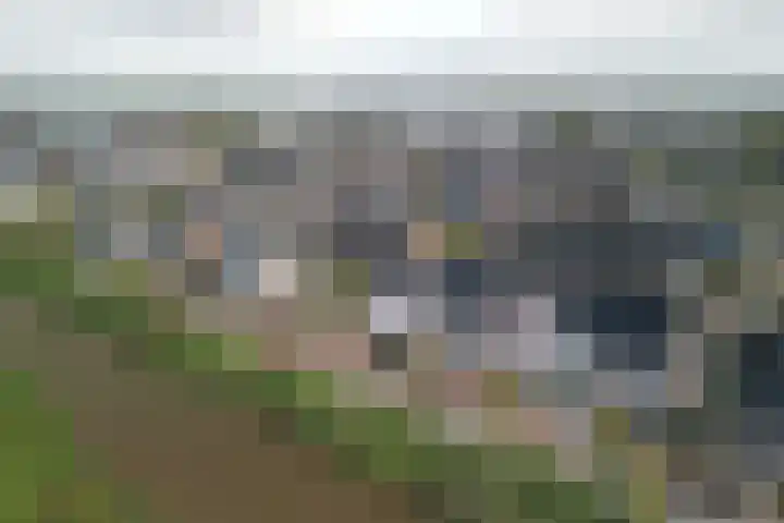 Blauwband 68 Waddinxveen thumbnail 41