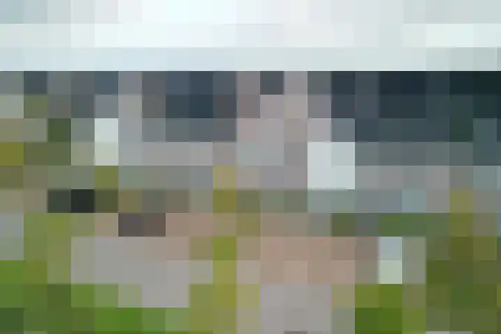Blauwband 68 Waddinxveen thumbnail 42