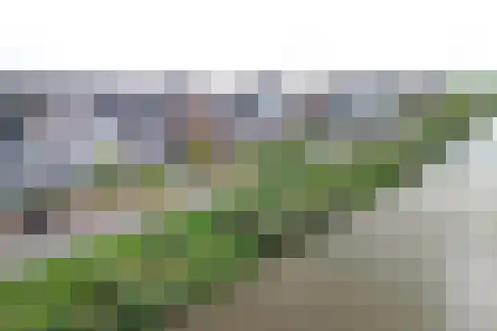 Blauwband 68 Waddinxveen thumbnail 45