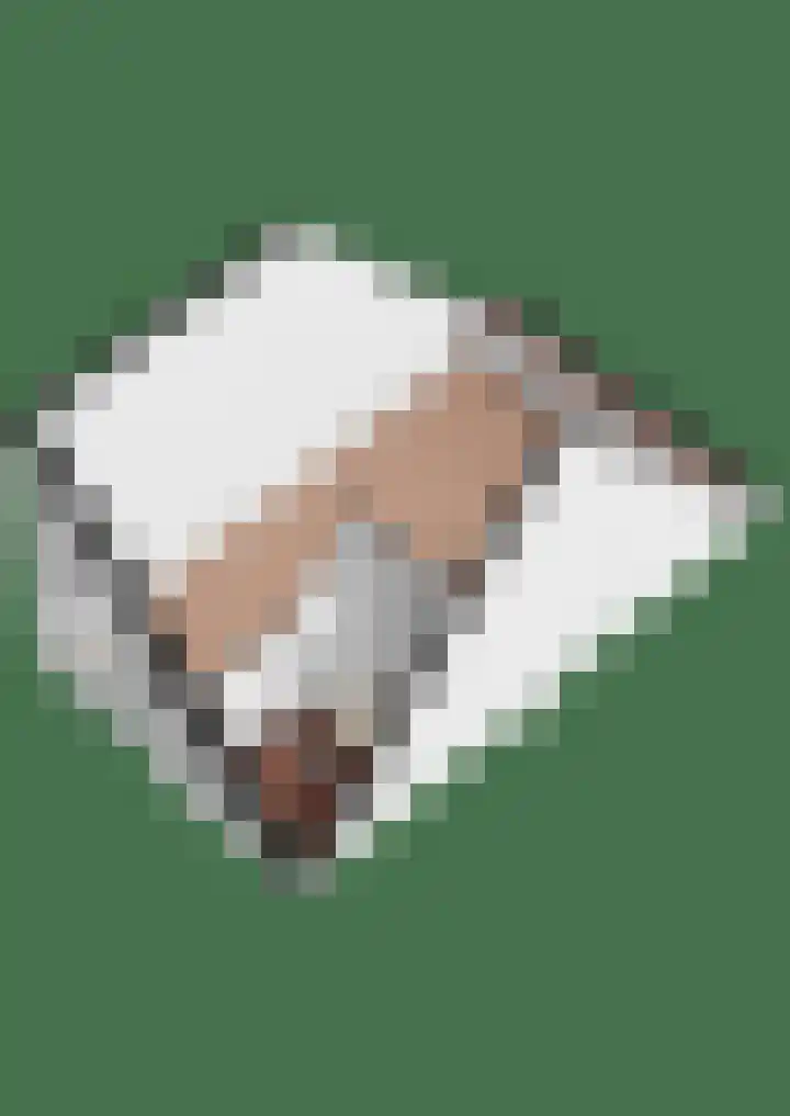 Blauwband 68 Waddinxveen thumbnail 53