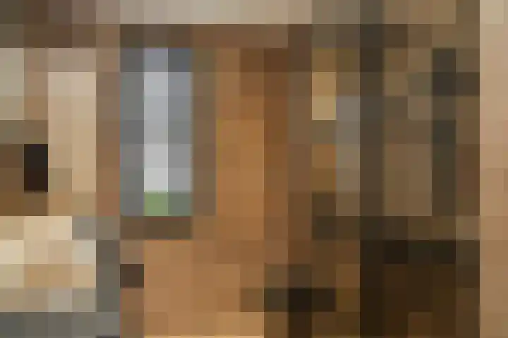 Blauwbleuren 2 Vlijmen thumbnail 21