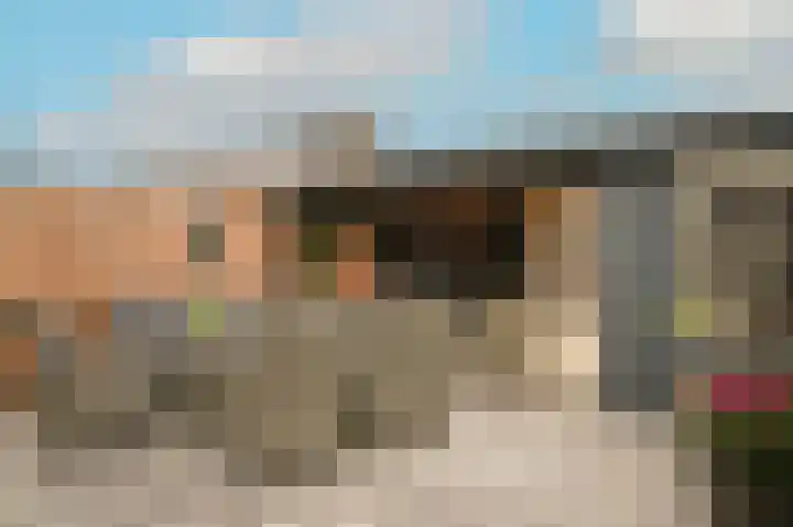 Blauwbleuren 2 Vlijmen thumbnail 29
