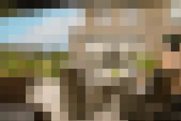 Blauwbleuren 2 Vlijmen thumbnail 31