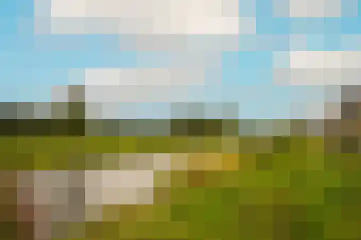 Blauwbleuren 2 Vlijmen thumbnail 36