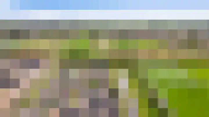 Blauwbleuren 2 Vlijmen thumbnail 39