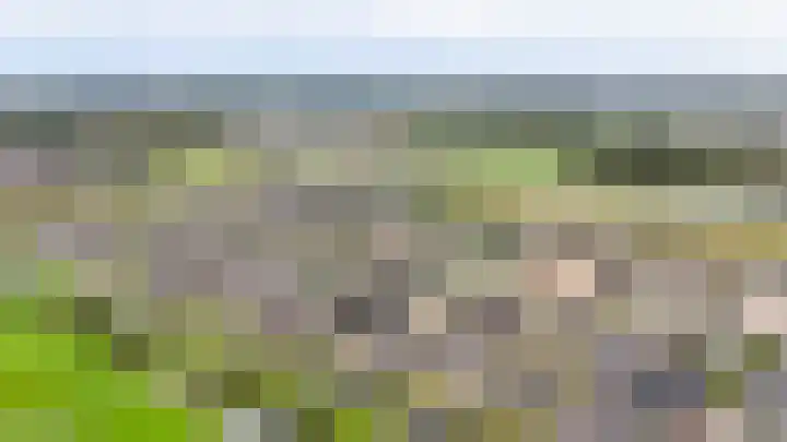 Blauwbleuren 2 Vlijmen thumbnail 40