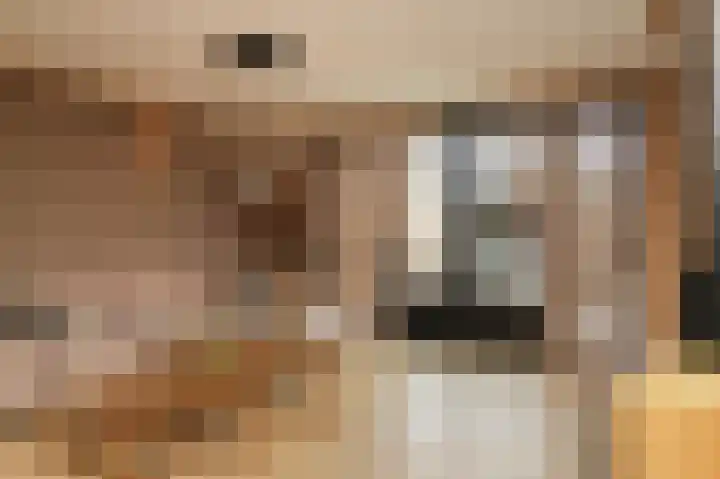 Blauwbleuren 2 Vlijmen thumbnail 8