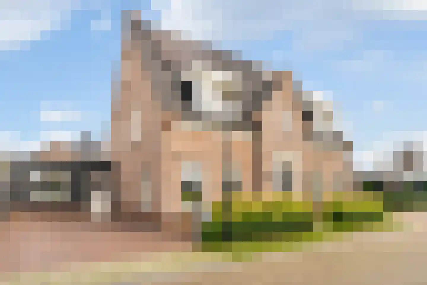 Blauwbleuren 22 in Vlijmen