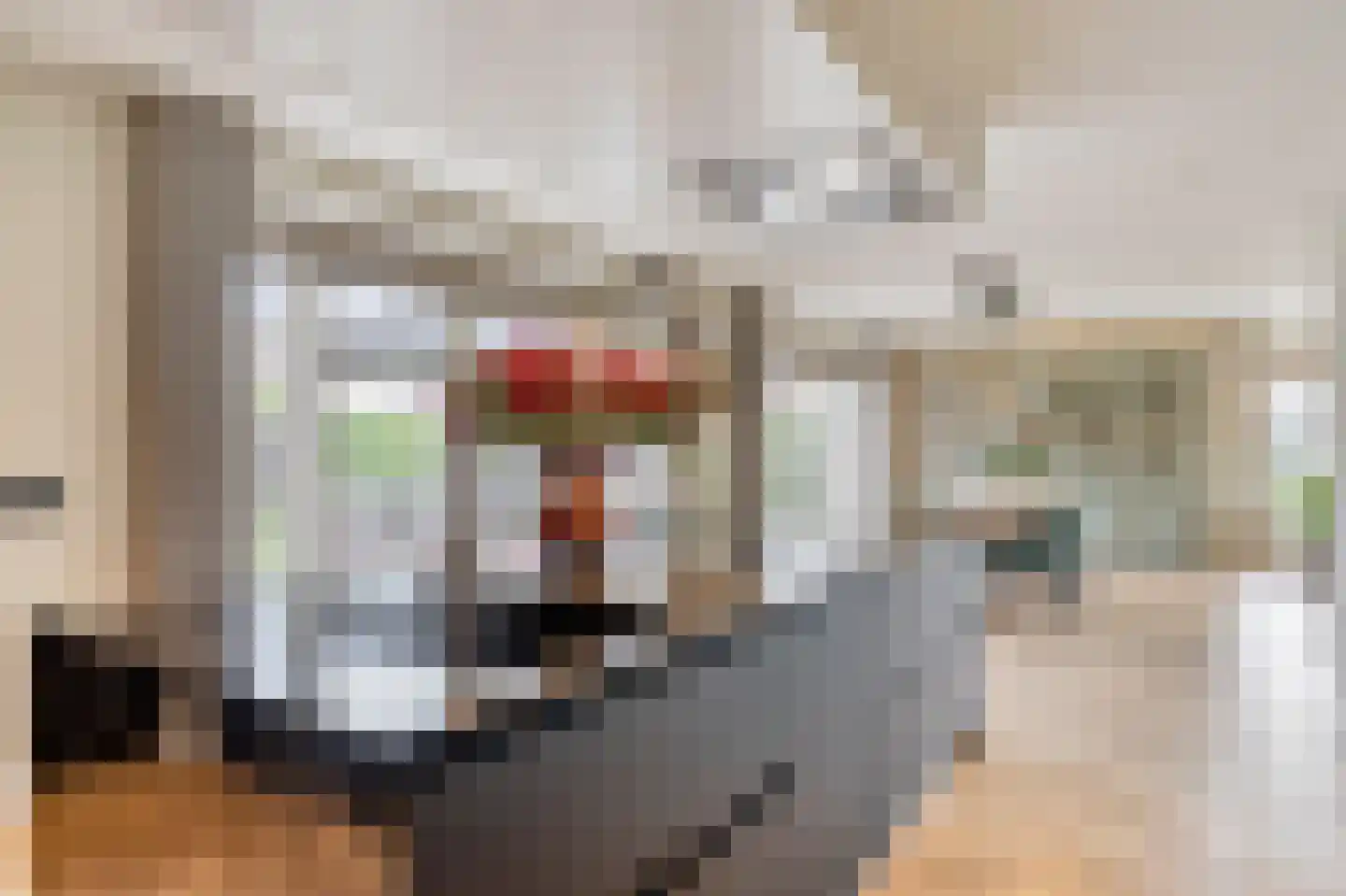 Blauwbleuren 22 Vlijmen thumbnail 12