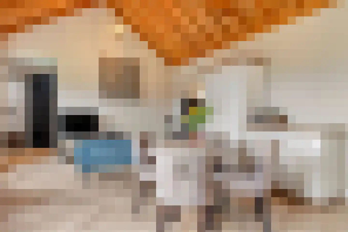Blauwbleuren 22 Vlijmen thumbnail 23