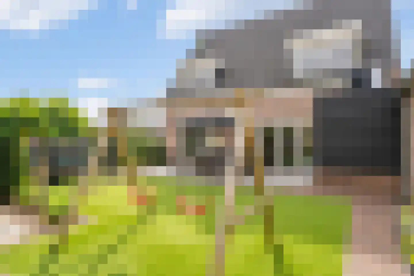 Blauwbleuren 22 Vlijmen thumbnail 27