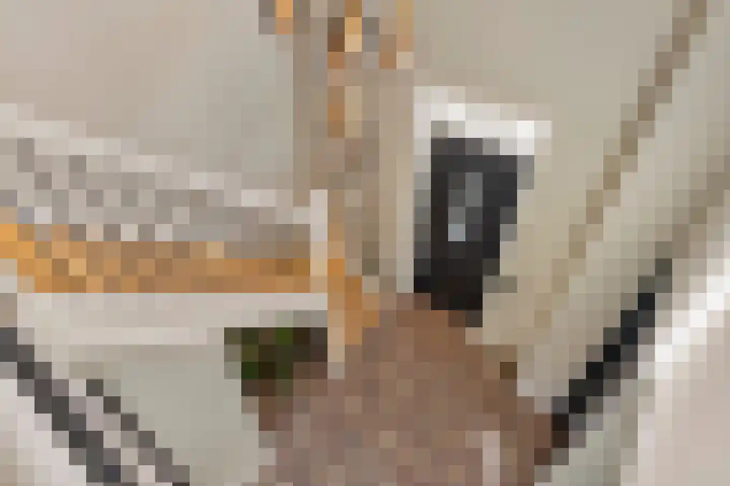 Blauwbleuren 22 Vlijmen thumbnail 36