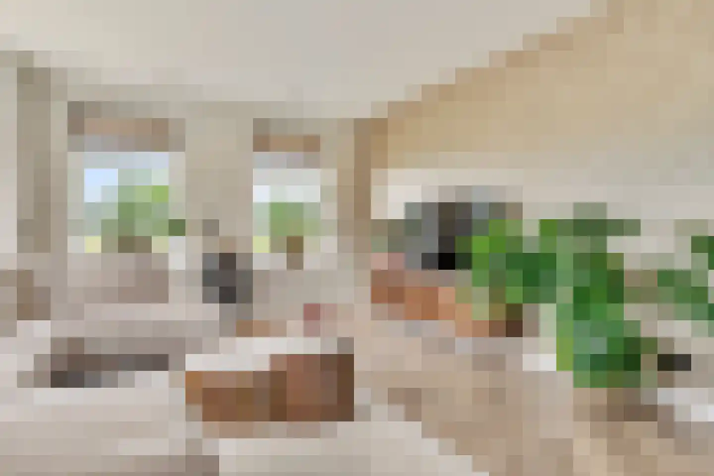 Blauwbleuren 22 Vlijmen thumbnail 4