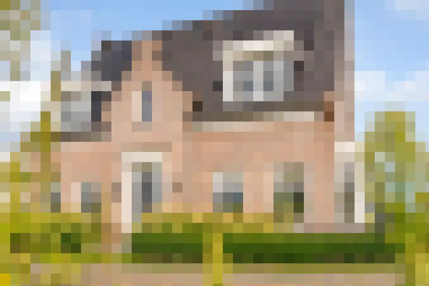 Blauwbleuren 22 Vlijmen thumbnail 57