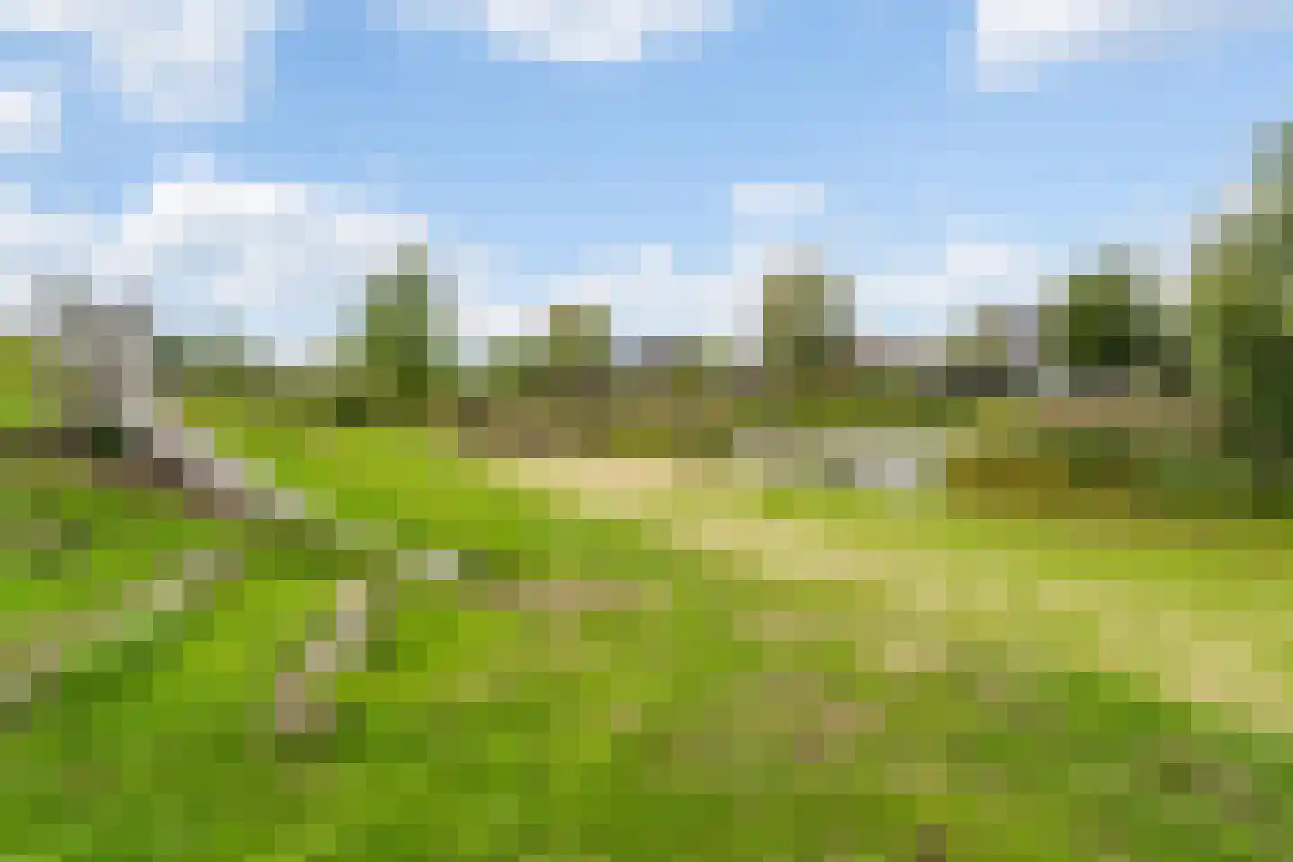 Blauwbleuren 22 Vlijmen thumbnail 63