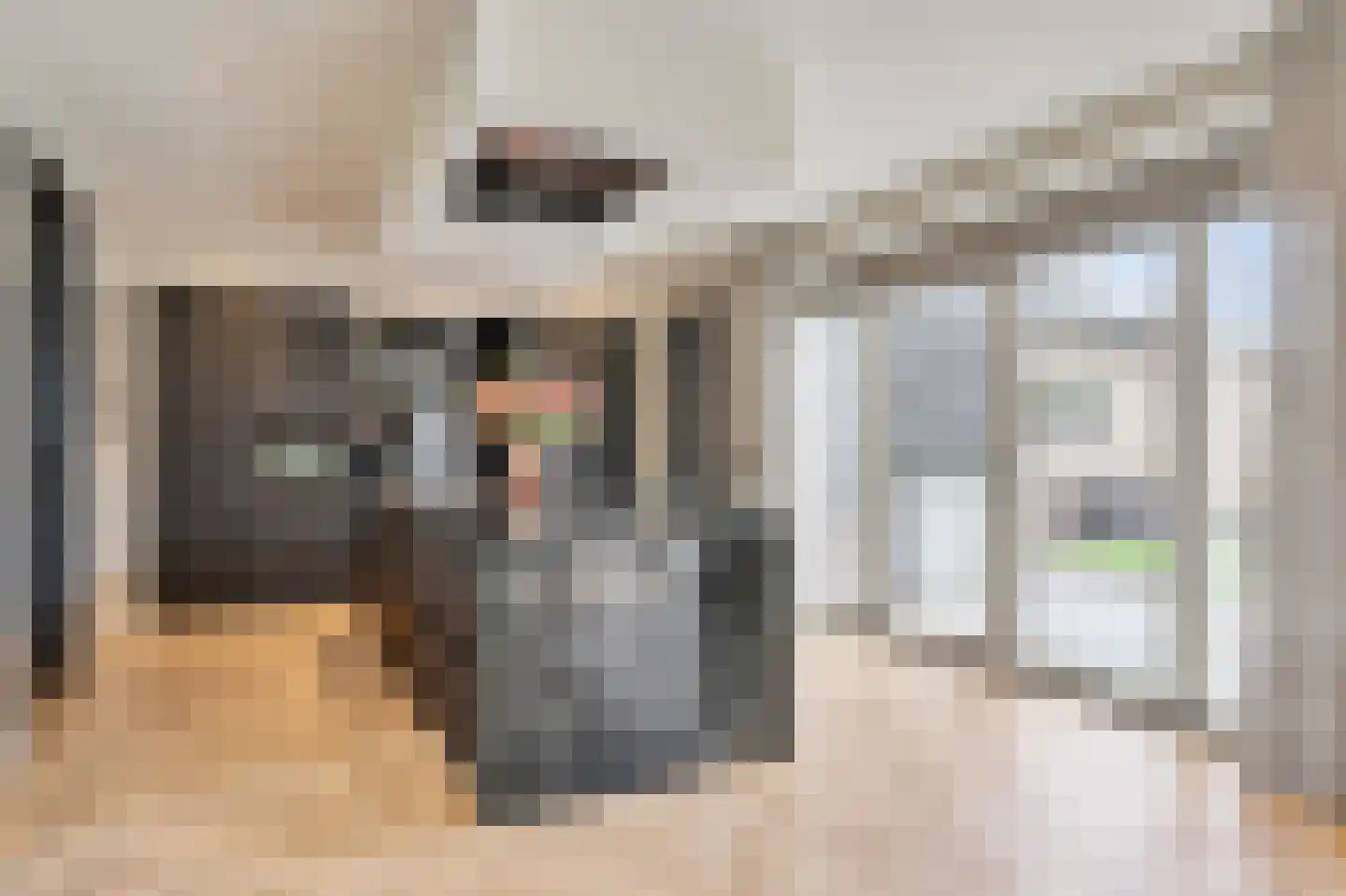 Blauwbleuren 22 Vlijmen thumbnail 9
