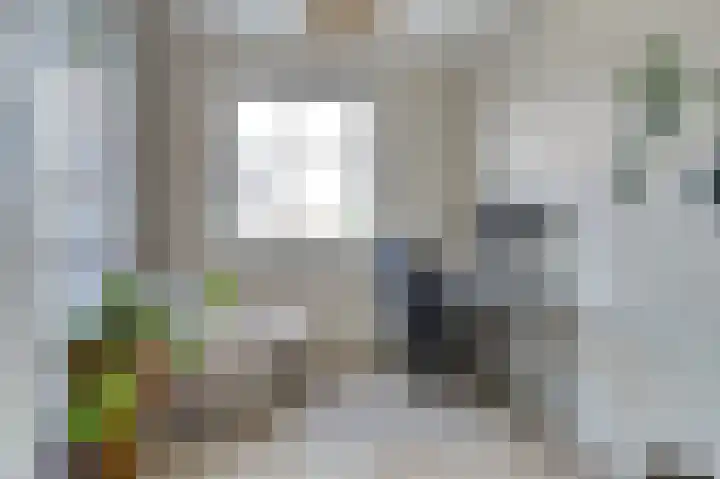 Blauwbleuren 8 Vlijmen thumbnail 22