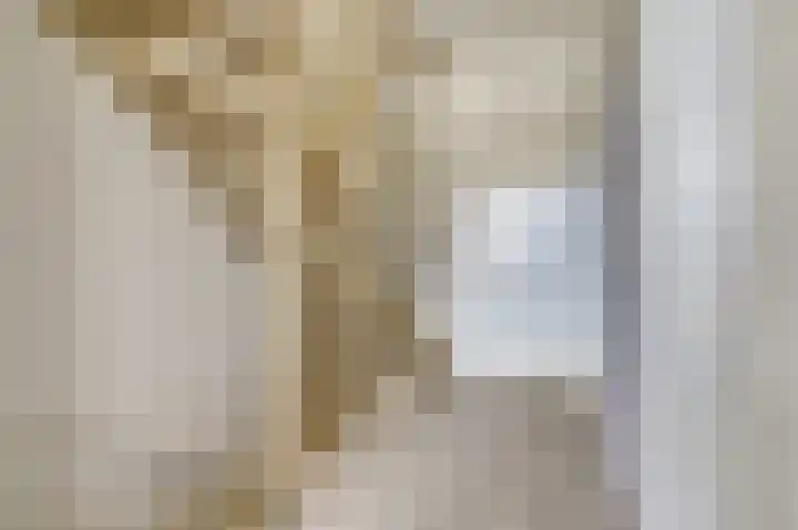 Blauwbleuren 8 Vlijmen thumbnail 25