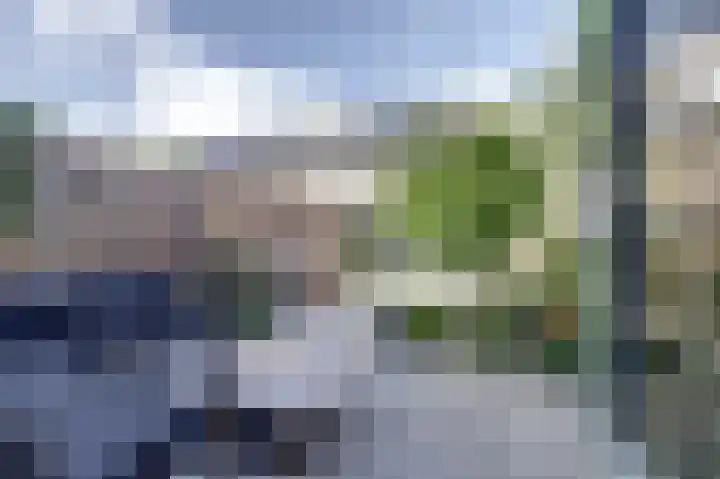Blauwbleuren 8 Vlijmen thumbnail 31