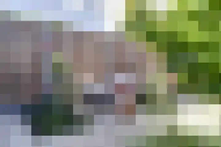 Blauwbleuren 8 Vlijmen thumbnail 32