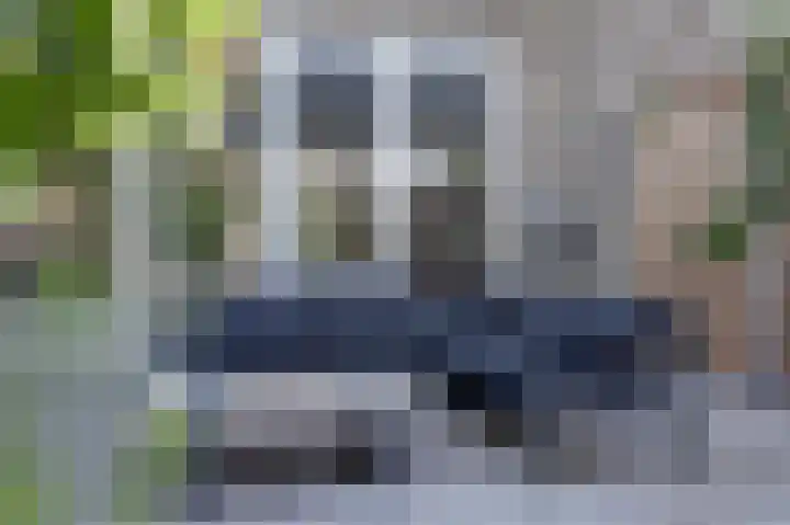 Blauwbleuren 8 Vlijmen thumbnail 34