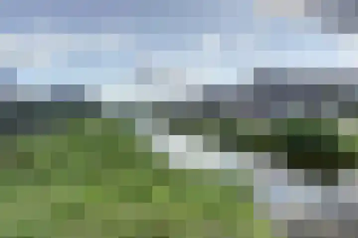 Blauwbleuren 8 Vlijmen thumbnail 42