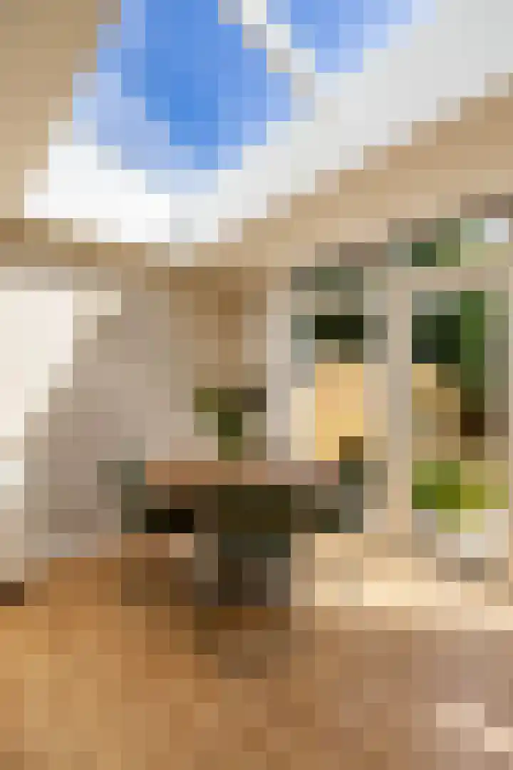 Blauwborg 26 Winsum thumbnail 21
