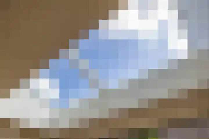 Blauwborg 26 Winsum thumbnail 24