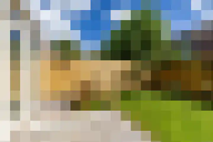 Blauwborg 26 Winsum thumbnail 29