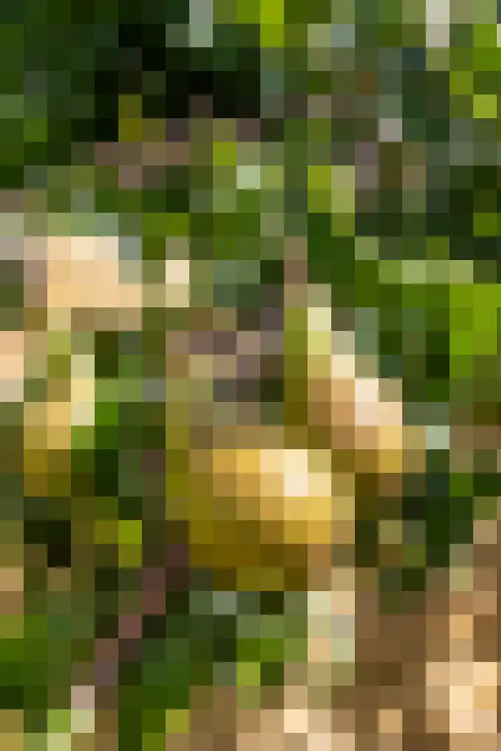 Blauwborg 26 Winsum thumbnail 30