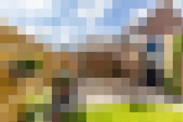Blauwborg 26 Winsum thumbnail 33