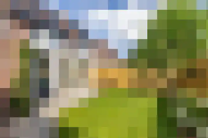 Blauwborg 26 Winsum thumbnail 34