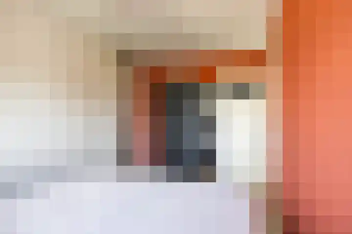 Blauwborg 26 Winsum thumbnail 39