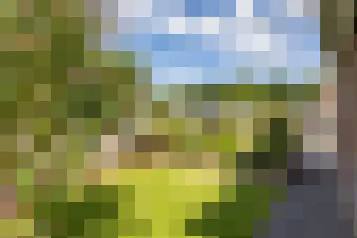 Blauwborg 26 Winsum thumbnail 4