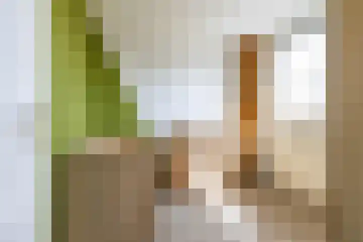 Blauwborg 26 Winsum thumbnail 40