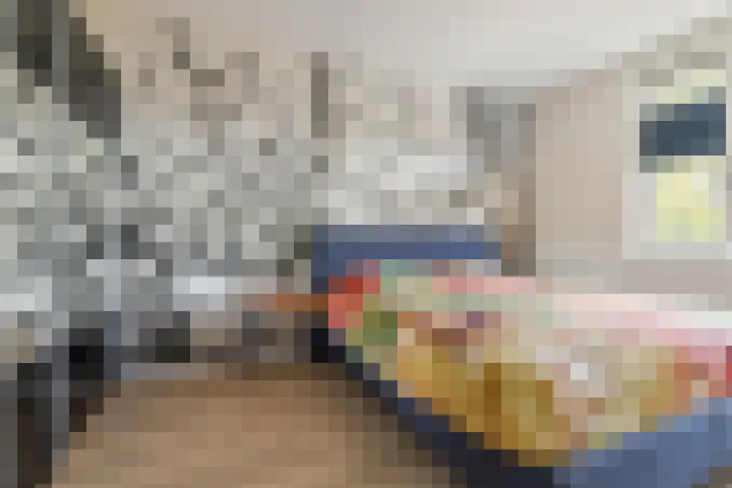 Blauwborst 18 Made thumbnail 18
