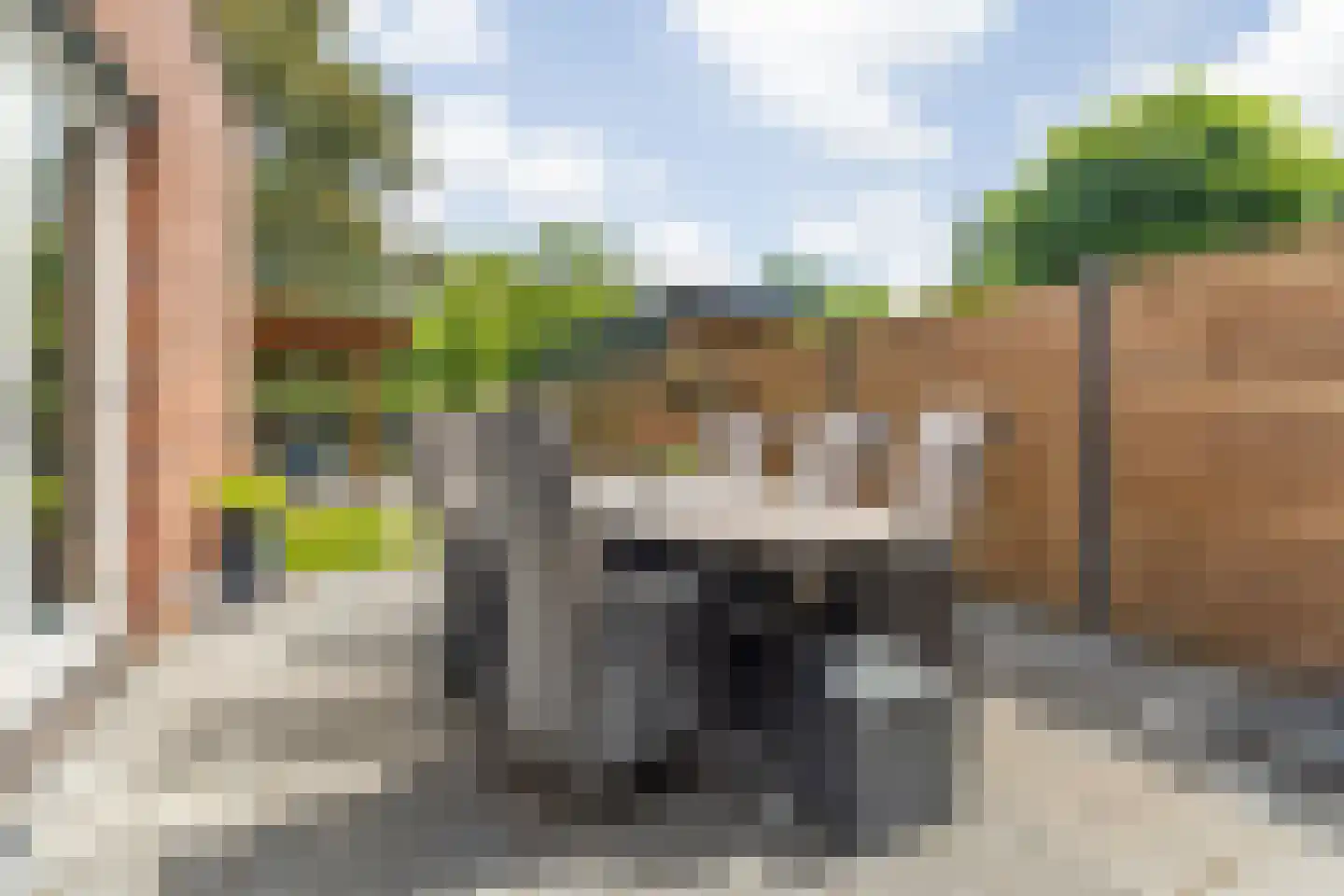 Blauwborst 18 Made thumbnail 30