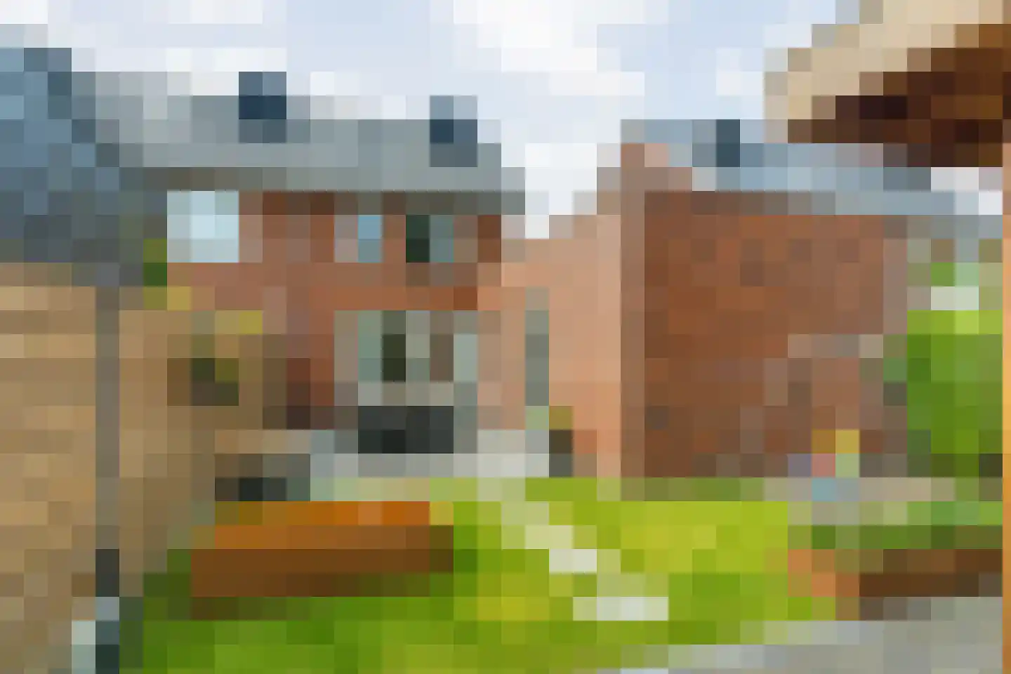 Blauwborst 18 Made thumbnail 4