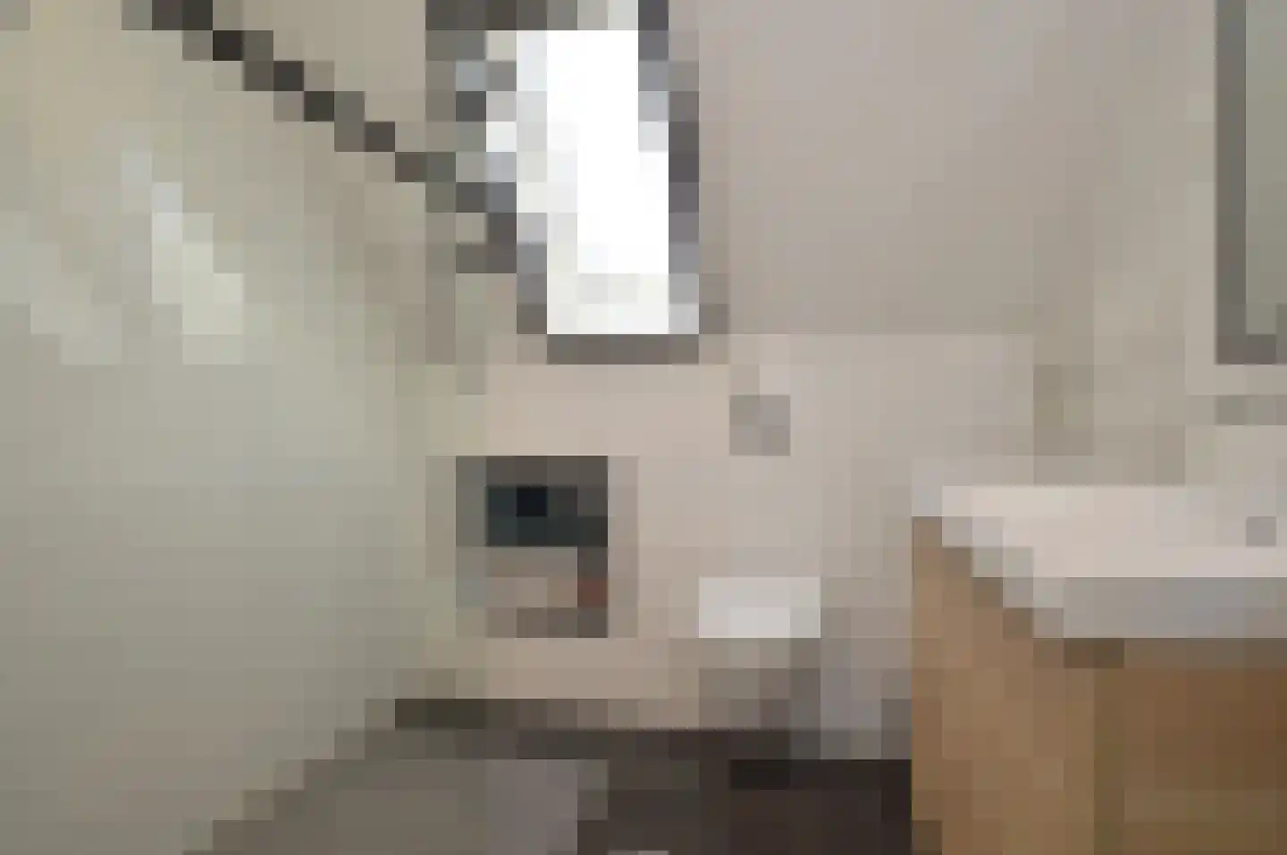 Blauwborst 3 Deurne thumbnail 13